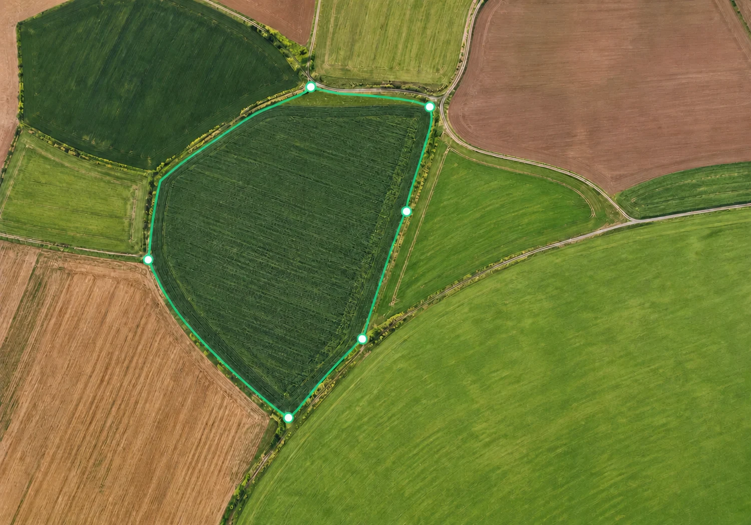 Letecký pohled na zemědělskou parcelu s vyznačenou hranicí a GPS body